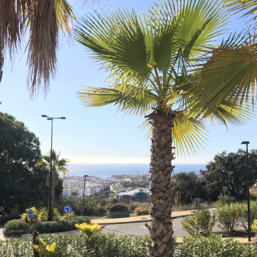 Padelclub in Estepona